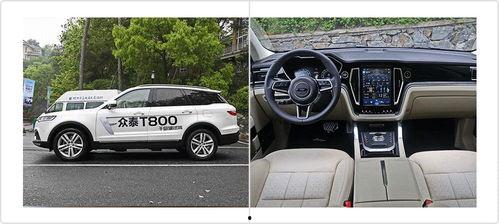 十三万内国产6座车视频,空间与性能的完美融合”