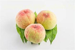 国产桃子促销视频大全,促销视频大全亮点集锦