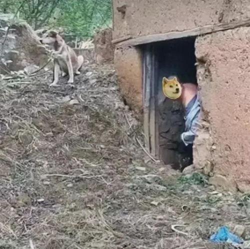 国产旱厕视频,揭秘农村生活设施的创新与挑战