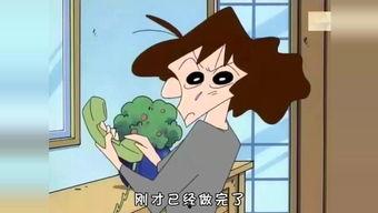 国产动漫老人视频大全集