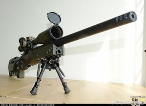 国产重狙枪打靶视频,靶场实况展现强大威力