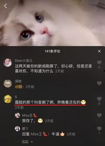 国产露脸p视频,揭秘网络红人幕后制作过程