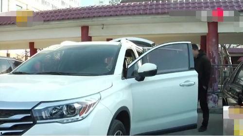 大郎买国产车视频大全,大郎带你领略国产车视频大全