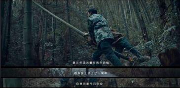 西瓜视频国产诡异短片,国产短片中的西瓜视频惊悚之旅