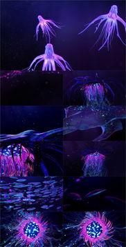 国产跳舞素材视频大全