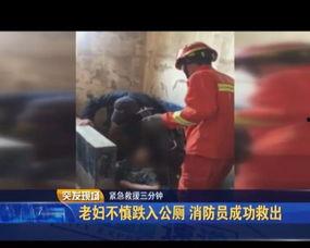 国产老妇视频种子,揭秘尘封的岁月记忆与情感纠葛