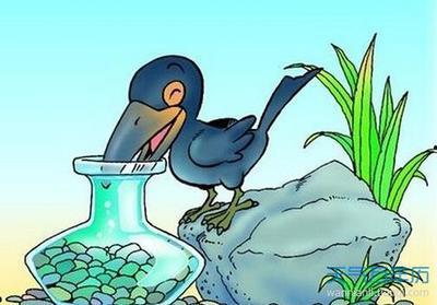 国产乌鸦和猪动画片视频,乌鸦与猪的奇幻冒险之旅