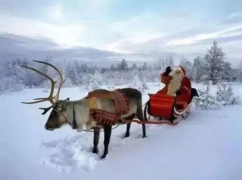 国产圣诞老人的雪橇视频,传统与现代的完美融合