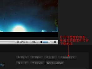 调教视频国产 迅雷下载
