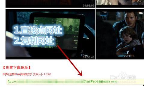 调教视频国产 迅雷下载