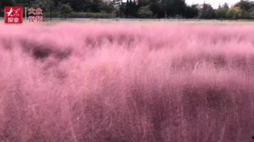 国产成人乱子视频网站