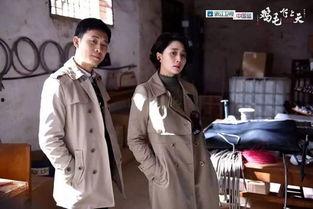 自窥国产视频,探索本土影视创作的魅力与挑战