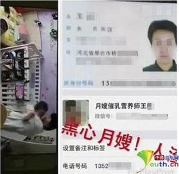 国产家政服务网红鹿视频,揭秘国产家政服务的魅力与变革