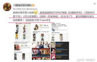 国产近亲视频网站,揭秘国内热门影视平台背后的故事