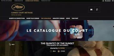 国产近亲视频网站,揭秘国内热门影视平台背后的故事