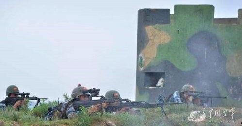 国产精确射手步枪视频,精准射击的利器，展现我国军工实力